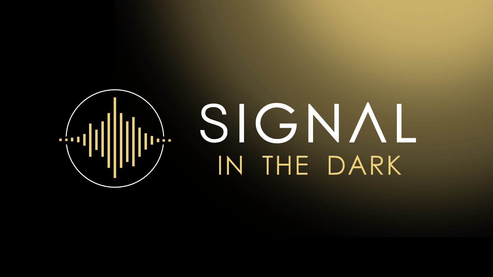 SIGNAL IN THE DARK cover
